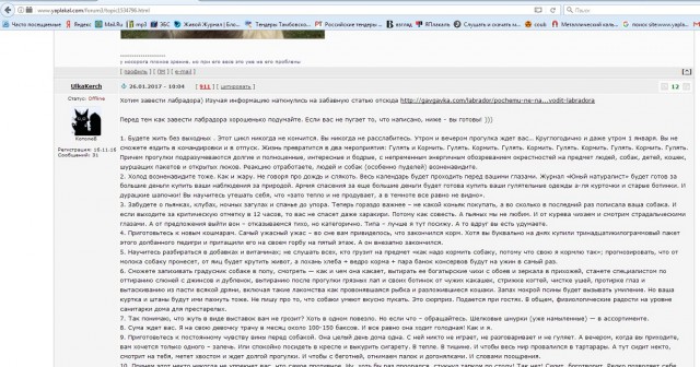 Почему не надо заводить собаку?