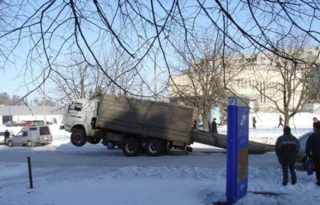 49 забавных картинок