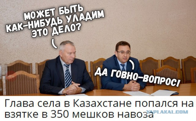 Картинки из этих ваших интернетов