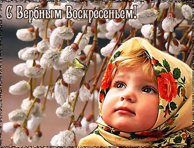 Итоги проверки пользователей