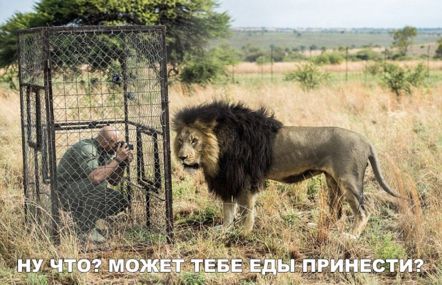Прикольные картинки абавсём
