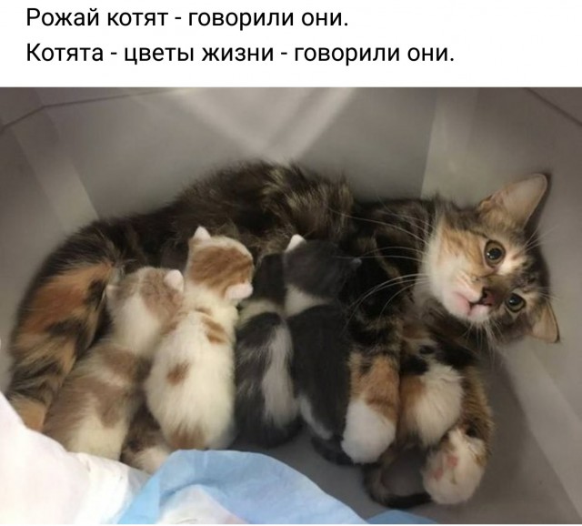 Только на минуточку прилегла.. а тут