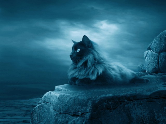 Рисованные киски