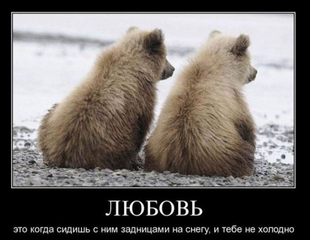 Кого звать, если...