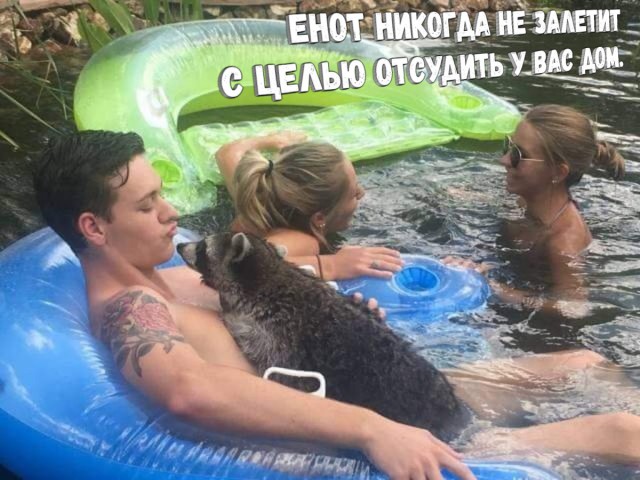 Всех очень волнует вопрос: «почему бабы такие меркантильные?»