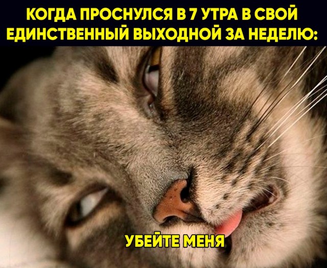 Немного картинок с надписями и без - 28