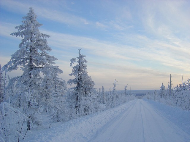 Красивая зимняя тайга