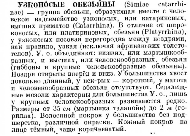 Генетики обнаружили ДНК неизвестного вида гоминид в геноме африканцев