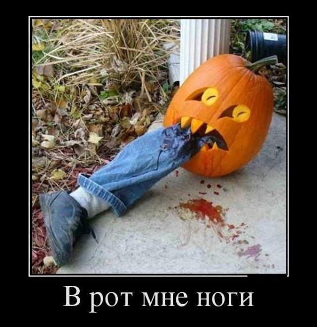 Все как обычно начиналось со слов "а смотри, как я могу!"