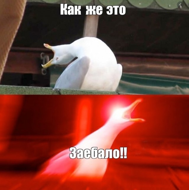 Раевская про вирус и карантинные мероприятия