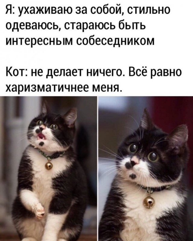Немного картинок для настроения 06.05.20