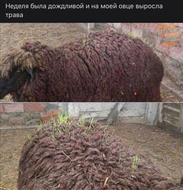 С миру по нитке 8.12.20