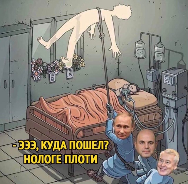 Кретинизмы из сети 14.01.21