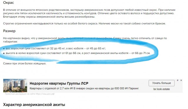 Аривидерчи, любимая! Грустная блондинка в чужом аэропорту