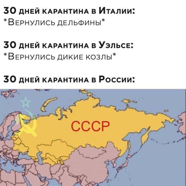 Эй вы, давно не деградировали?!