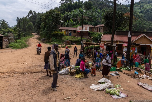 Уганда: самая настоящая Африка с гориллами и носорогами!