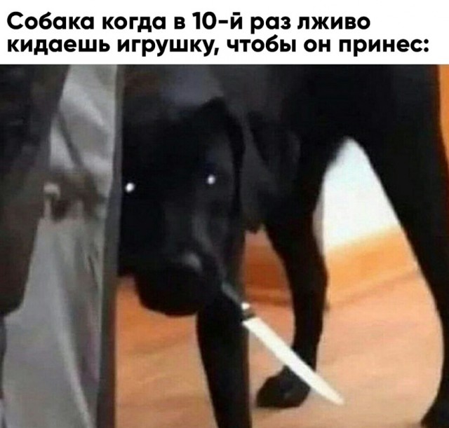 Весёлый полтишок 19.03