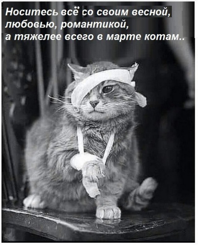Бредзона 30.03.21