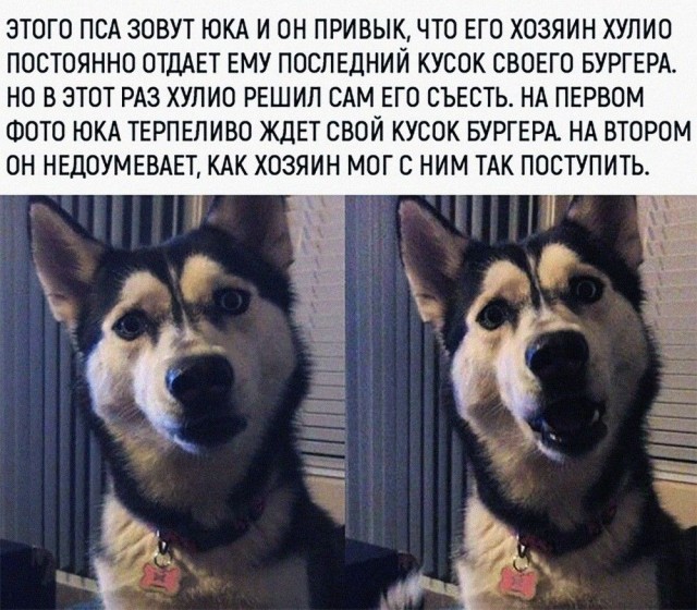 Обман года