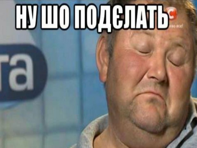 Не очень толерантный пёс