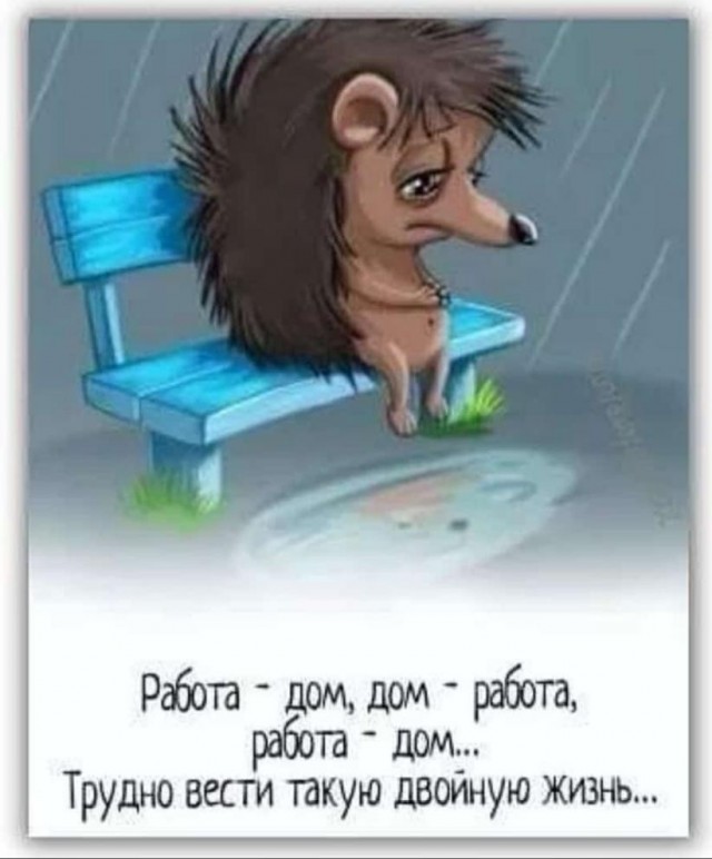 Разомнем перед пятницей упоротость