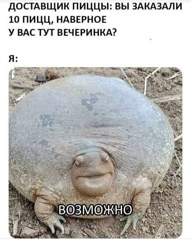 Бредзона 19.06.21