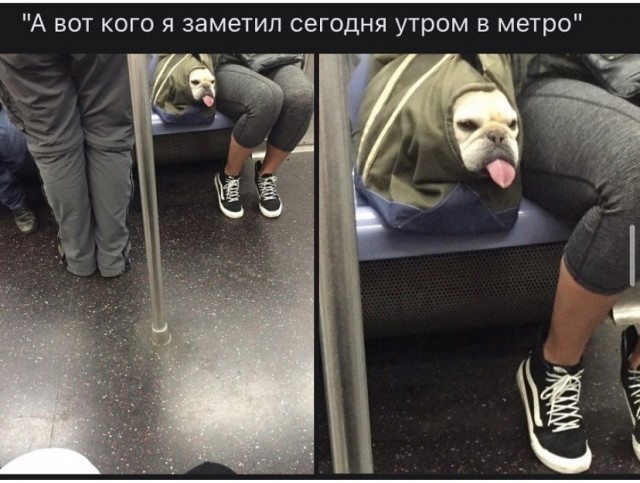 Так себе картинки 30.08.21