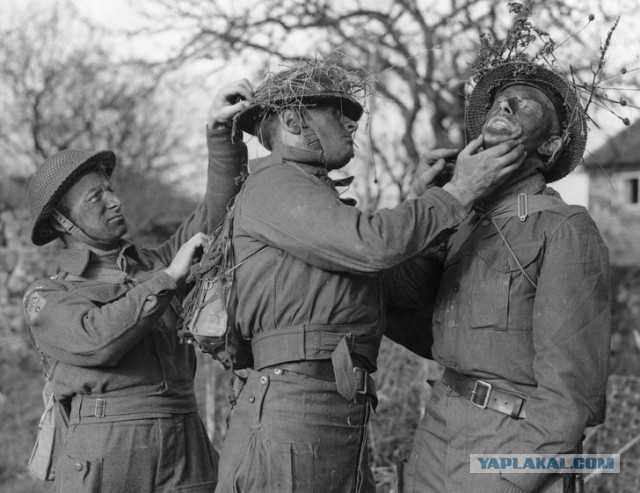 Короли перевоплощения: 16 шедевров военной маскировки