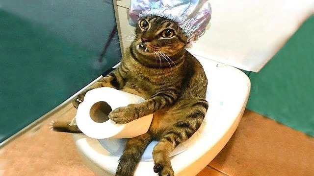 Почему мужик должен по факту?