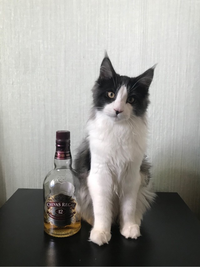 Взросление друга