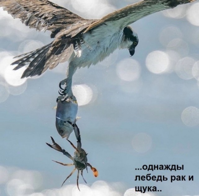 Так себе картинки 27.02.22