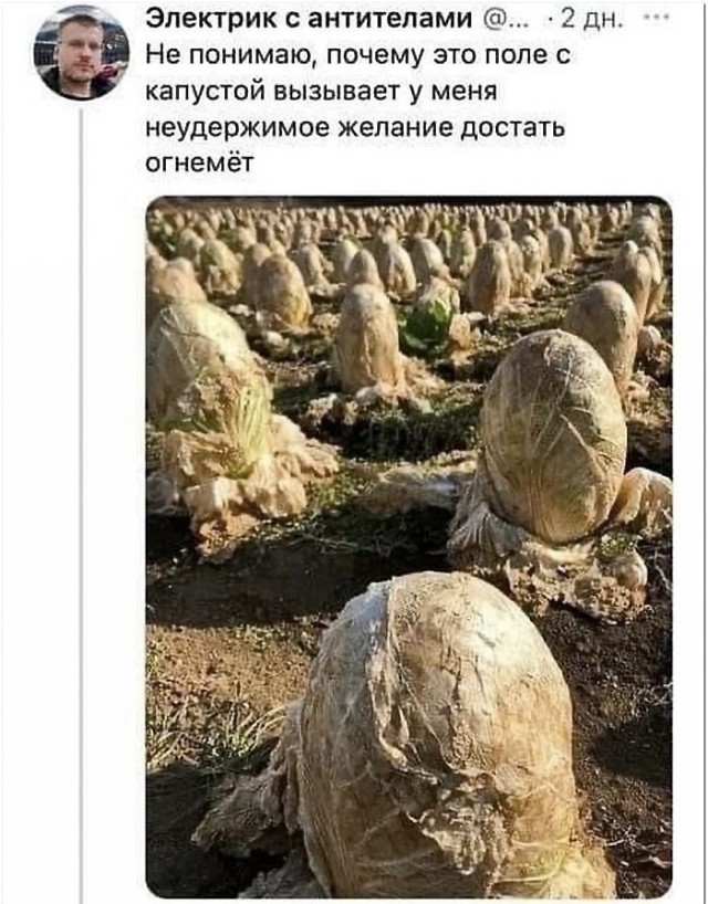 Солянка из разных картинок, для пофтыкать и улыбнуться