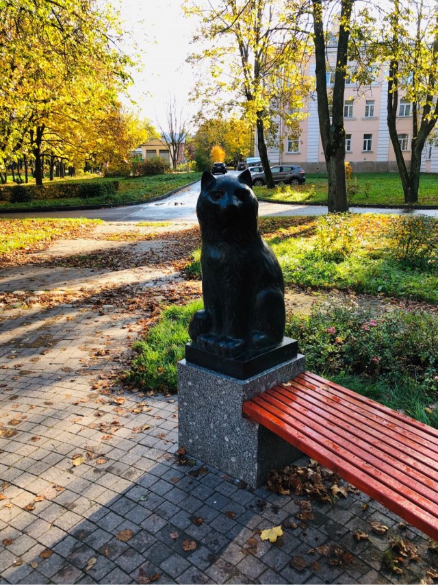 Фотки с телефона.
