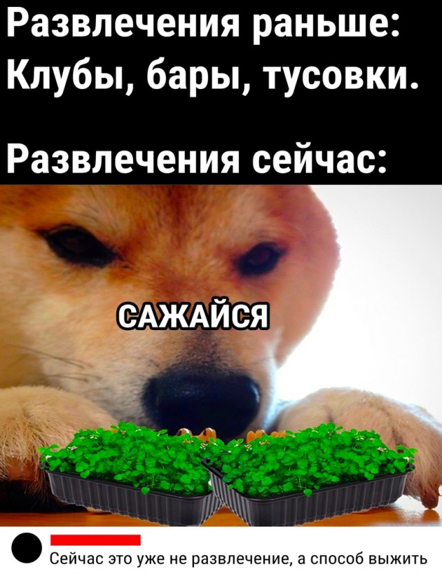 Так себе картинки 09.05.22