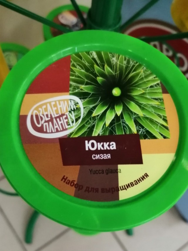 Сандре сегодня 60!