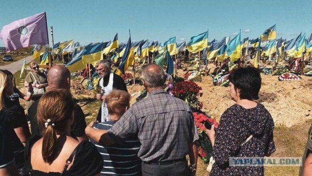А помните как люди просили? Их кто-нибудь слышал?
