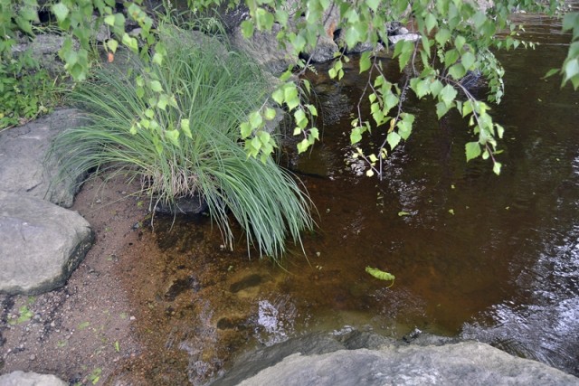 Поездка в Выборг