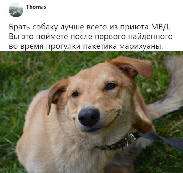 Воскресная наркомания, для деградантов