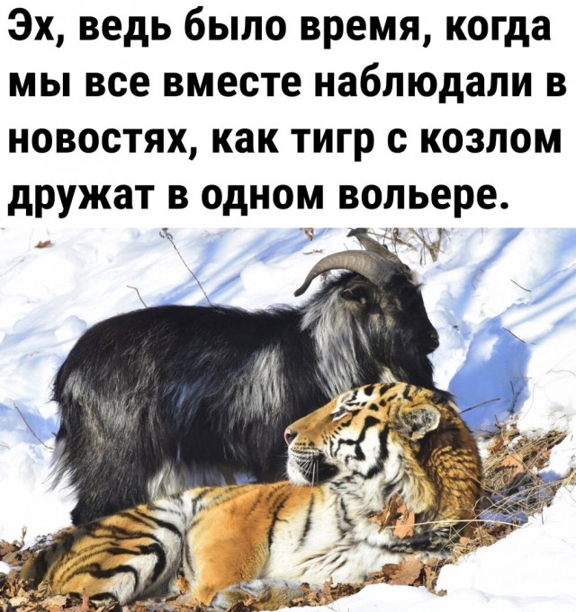 Так себе картинки 01.10.22