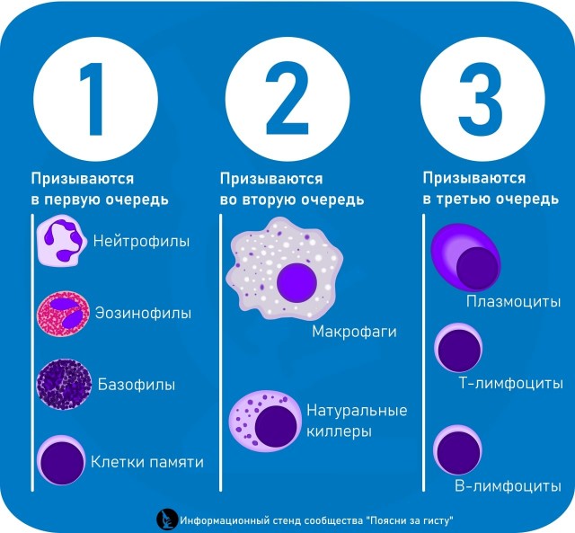 Пандемия съехавших крыш - разновидности болезни. Россия и мир. Часть 43.