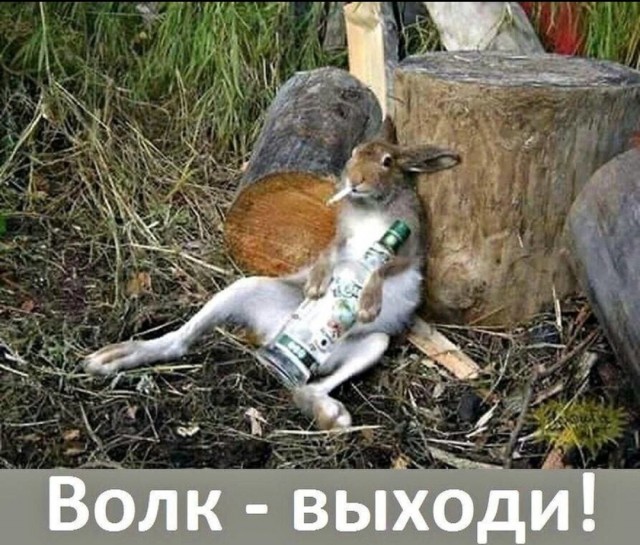 А на Новый Год было смешно