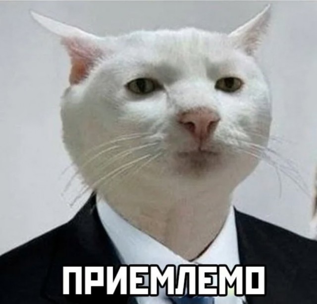 Нет у него выбора