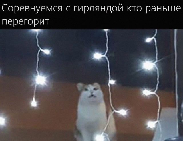 Картинки и мемы, всем хороших выходных