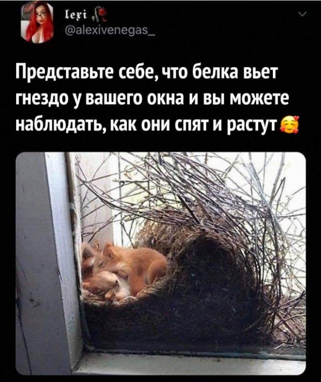 Картинки и мемы. Выходные близко...