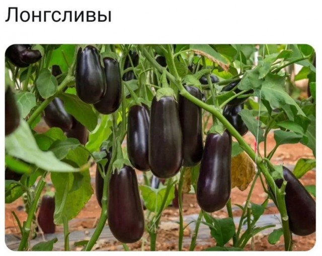Всего понемногу. Часть 11