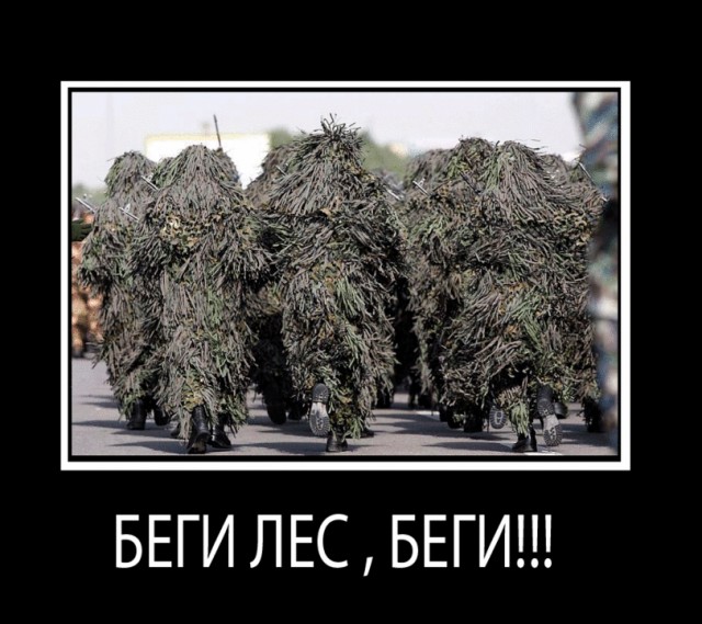 В Бендерах вырубили ивы, украшавшие набережную