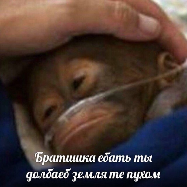 Один из авторов программы «Уральские пельмени» Игорь Истомин погиб в зоне СВО