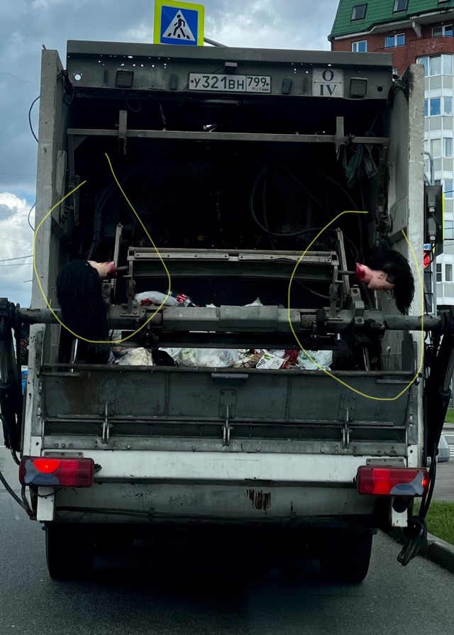 Леопард в Витебске