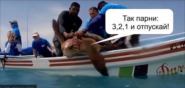 На волю