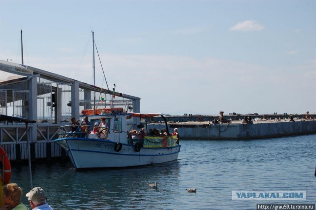 МореЯПа